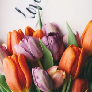 COLORFUL TULIPS